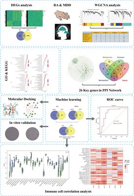 Potential diagnostic markers and therapeutic targets for rheumatoid arthritis with comorbid depression based on bioinformatics analysis